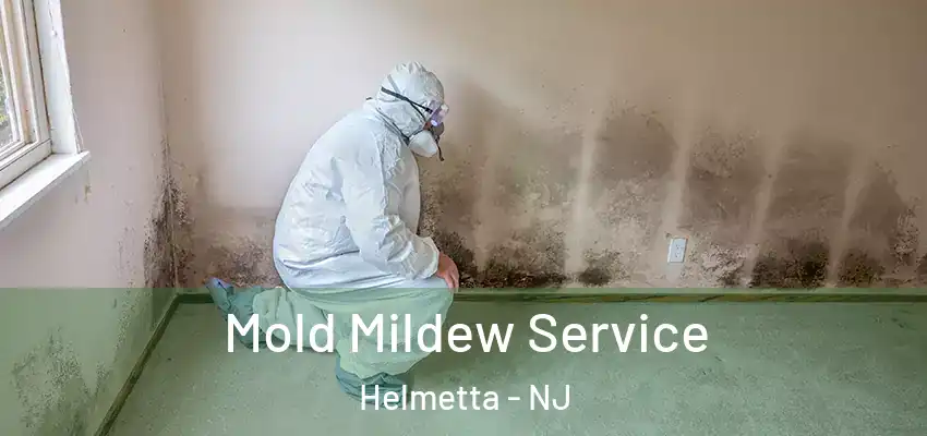 Mold Mildew Service Helmetta - NJ