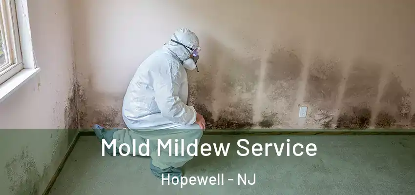  Mold Mildew Service Hopewell - NJ