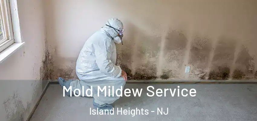 Mold Mildew Service Island Heights - NJ
