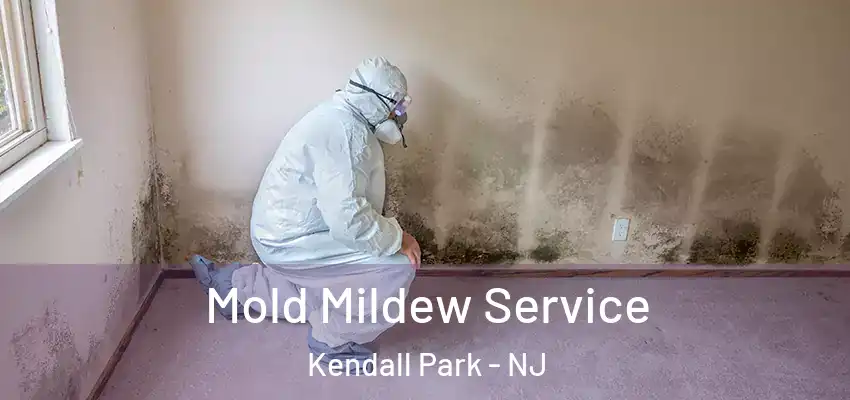 Mold Mildew Service Kendall Park - NJ