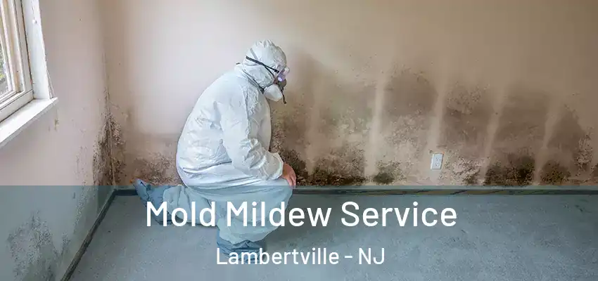  Mold Mildew Service Lambertville - NJ