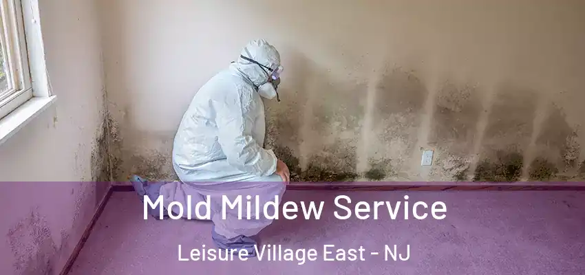 Mold Mildew Service Leisure Village East - NJ