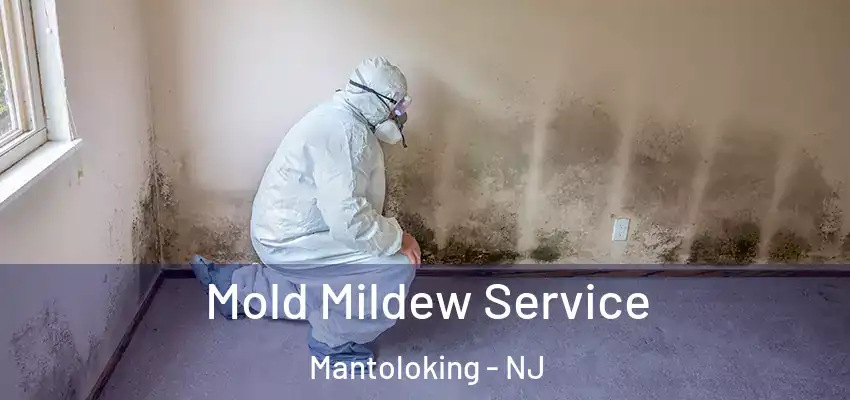  Mold Mildew Service Mantoloking - NJ
