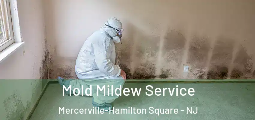  Mold Mildew Service Mercerville-Hamilton Square - NJ