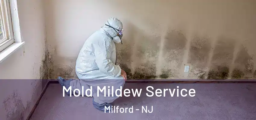 Mold Mildew Service Milford - NJ