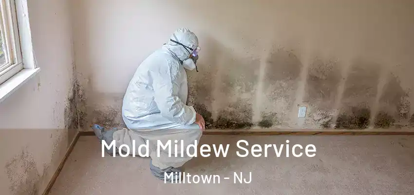 Mold Mildew Service Milltown - NJ