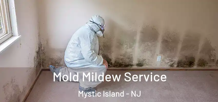 Mold Mildew Service Mystic Island - NJ