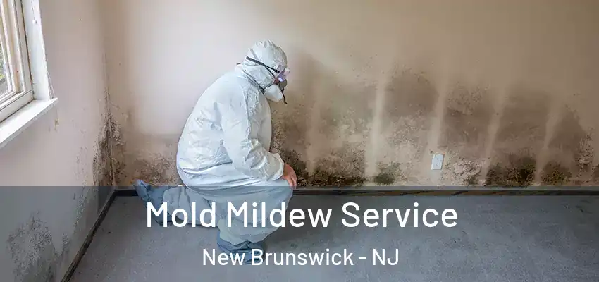  Mold Mildew Service New Brunswick - NJ
