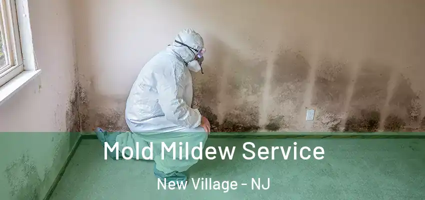  Mold Mildew Service New Village - NJ
