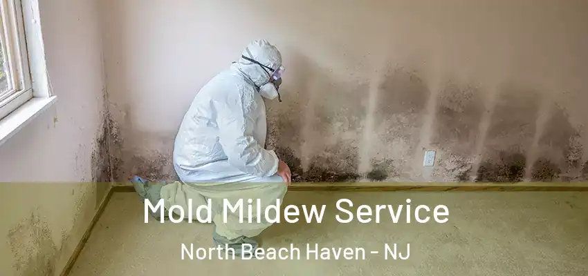 Mold Mildew Service North Beach Haven - NJ