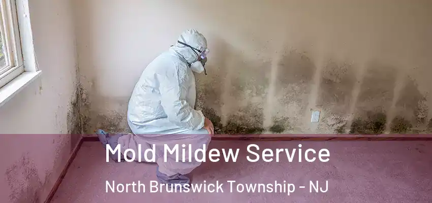  Mold Mildew Service North Brunswick Township - NJ