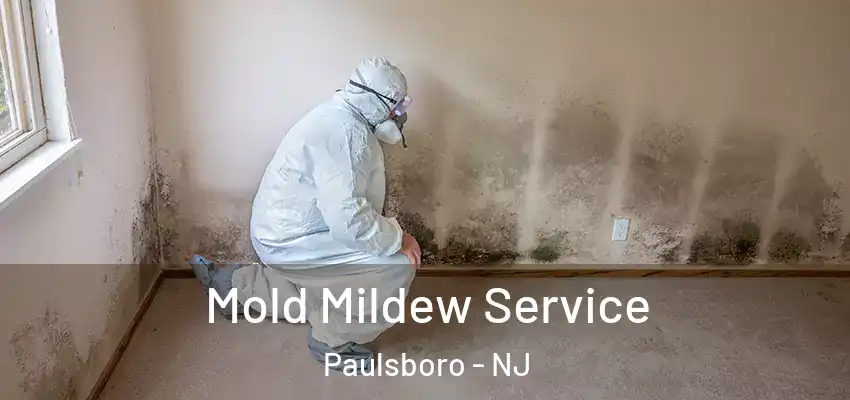 Mold Mildew Service Paulsboro - NJ