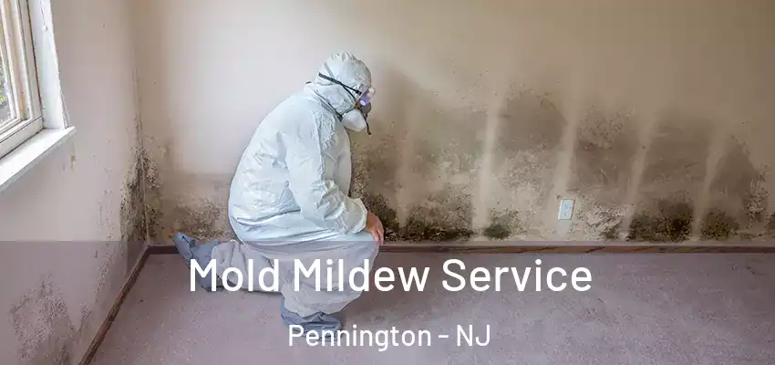  Mold Mildew Service Pennington - NJ