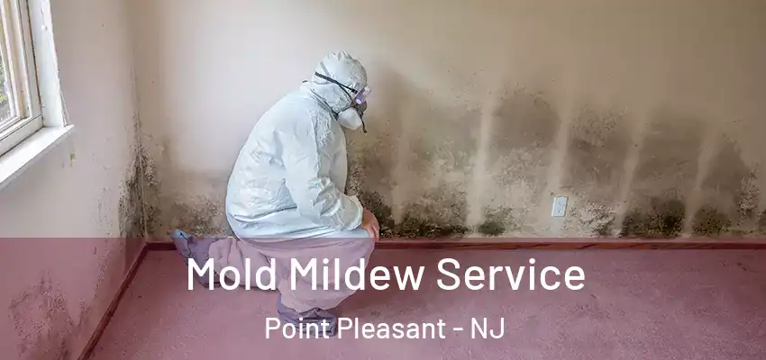  Mold Mildew Service Point Pleasant - NJ