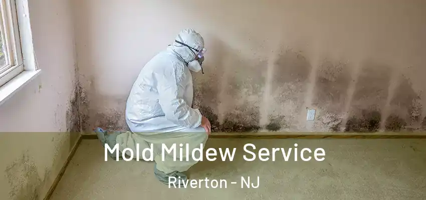 Mold Mildew Service Riverton - NJ