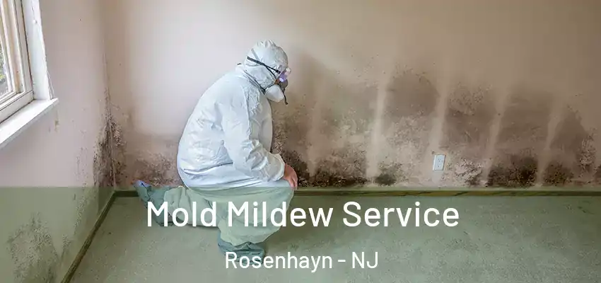  Mold Mildew Service Rosenhayn - NJ