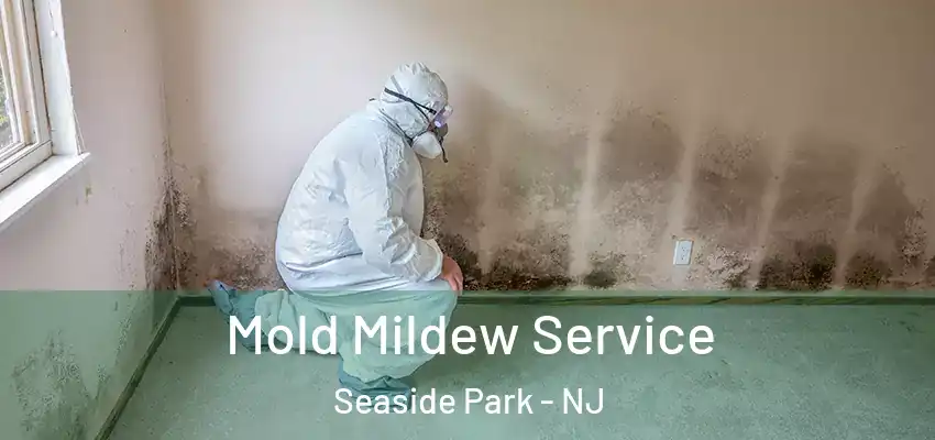Mold Mildew Service Seaside Park - NJ
