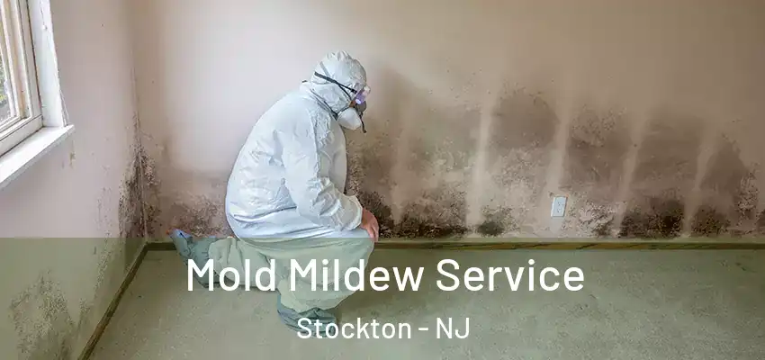  Mold Mildew Service Stockton - NJ