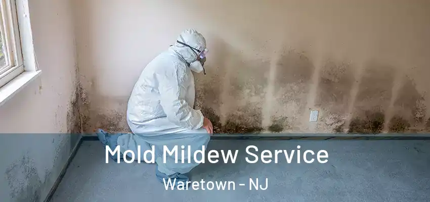  Mold Mildew Service Waretown - NJ