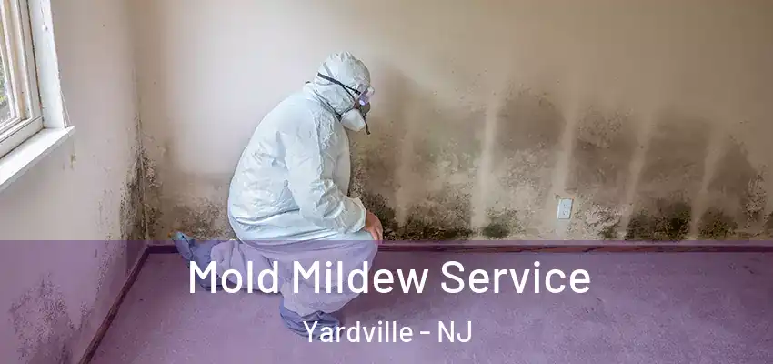  Mold Mildew Service Yardville - NJ