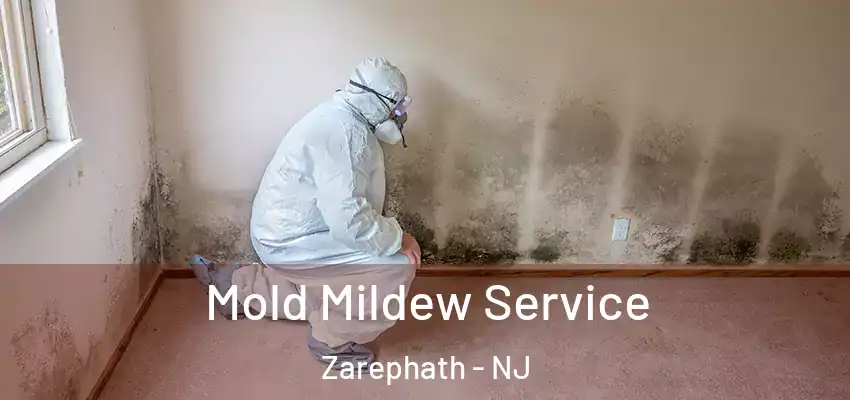 Mold Mildew Service Zarephath - NJ