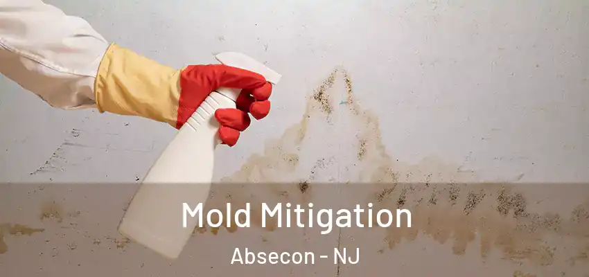 Mold Mitigation Absecon - NJ