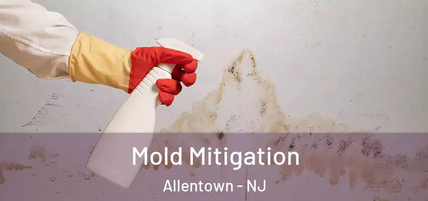 Mold Mitigation Allentown - NJ