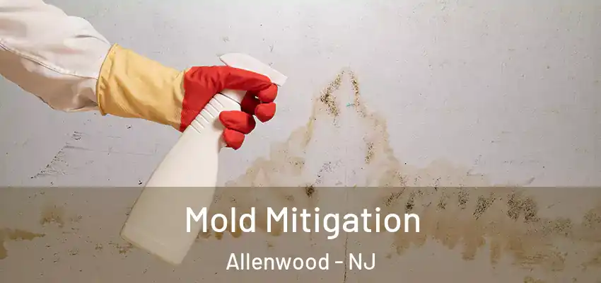  Mold Mitigation Allenwood - NJ