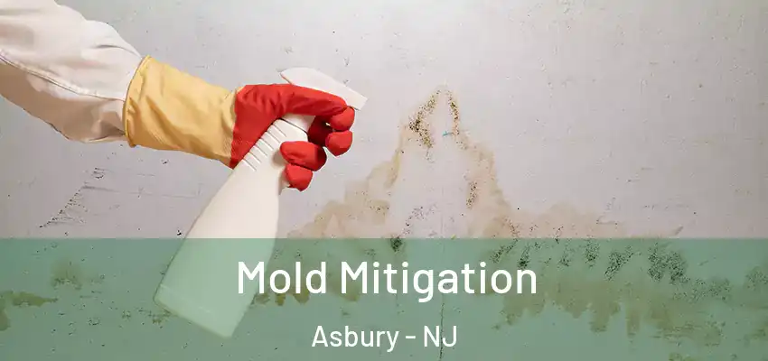  Mold Mitigation Asbury - NJ