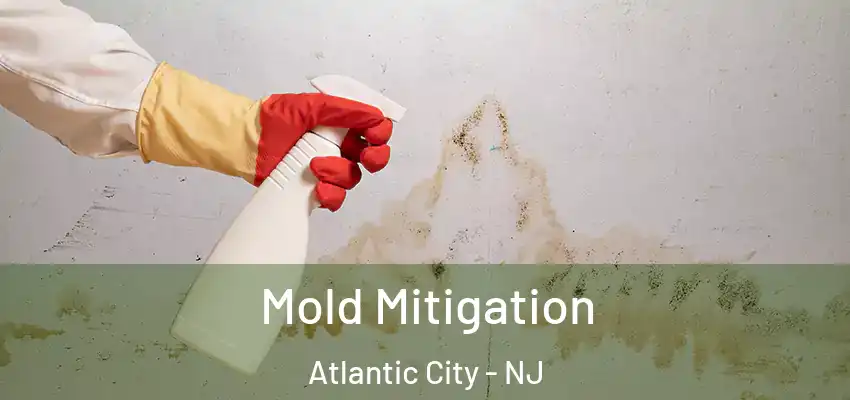  Mold Mitigation Atlantic City - NJ