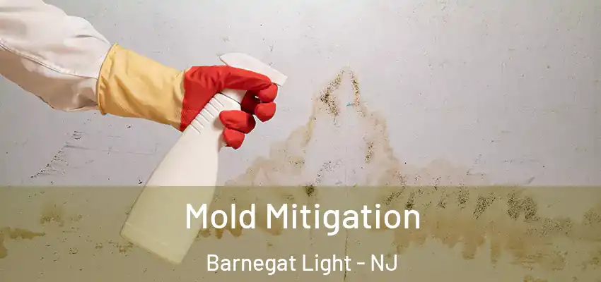  Mold Mitigation Barnegat Light - NJ