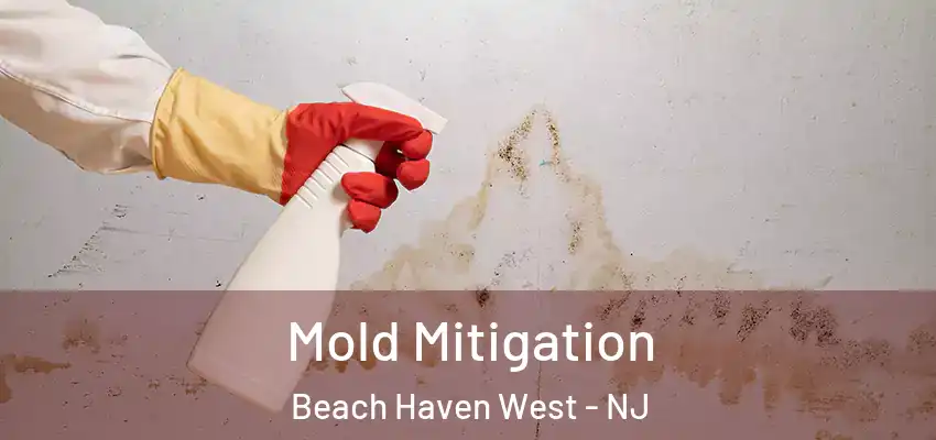  Mold Mitigation Beach Haven West - NJ