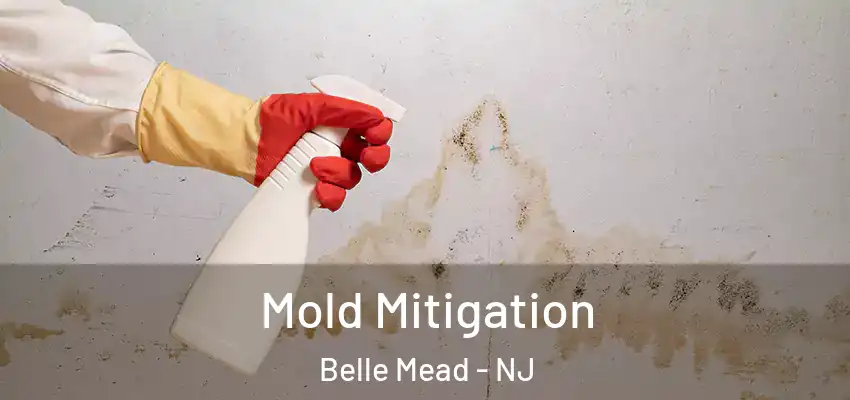  Mold Mitigation Belle Mead - NJ