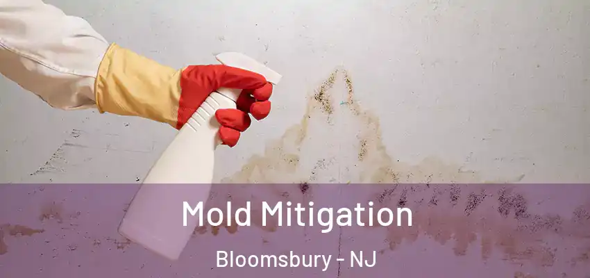  Mold Mitigation Bloomsbury - NJ