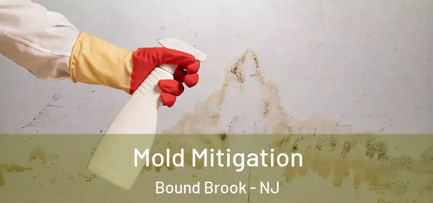 Mold Mitigation Bound Brook - NJ