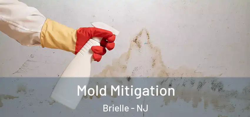 Mold Mitigation Brielle - NJ