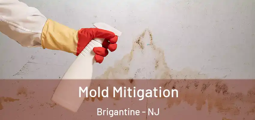 Mold Mitigation Brigantine - NJ
