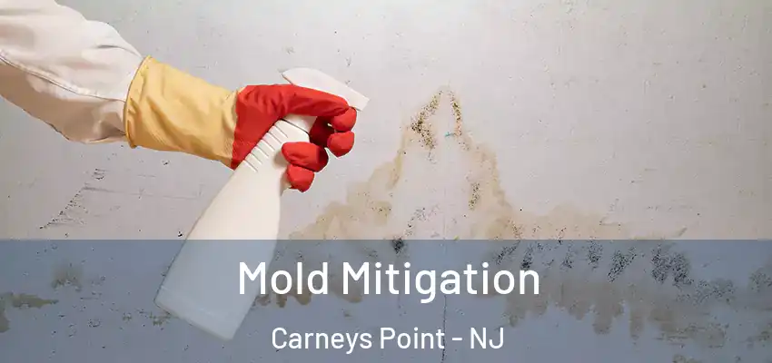 Mold Mitigation Carneys Point - NJ
