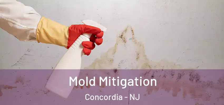 Mold Mitigation Concordia - NJ