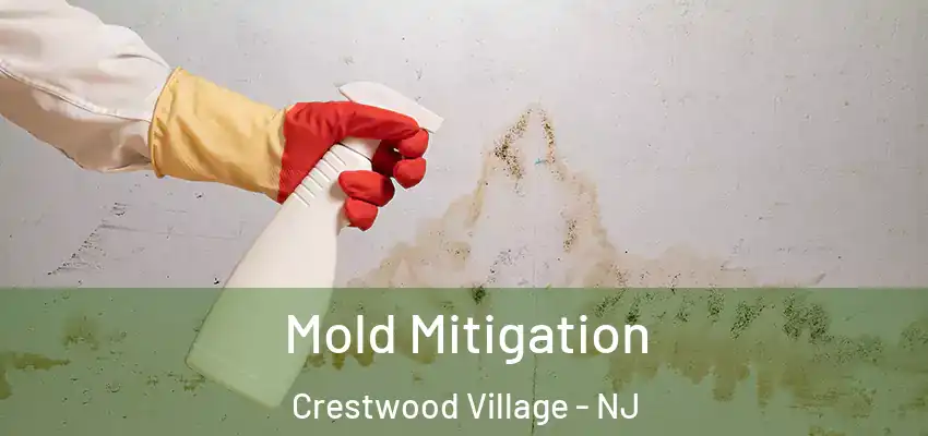 Mold Mitigation Crestwood Village - NJ