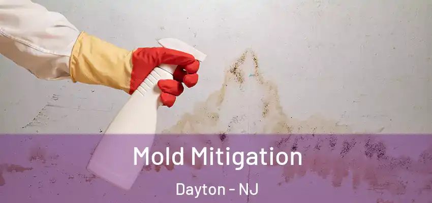 Mold Mitigation Dayton - NJ