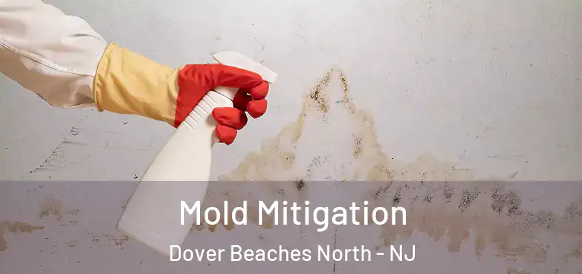  Mold Mitigation Dover Beaches North - NJ