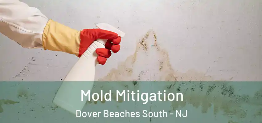 Mold Mitigation Dover Beaches South - NJ
