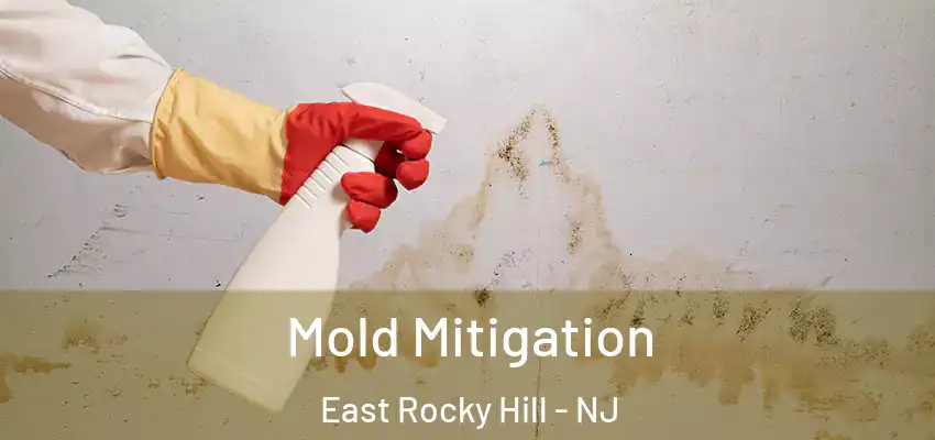 Mold Mitigation East Rocky Hill - NJ