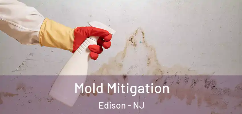 Mold Mitigation Edison - NJ
