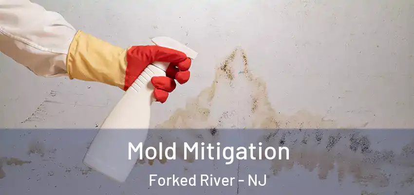 Mold Mitigation Forked River - NJ