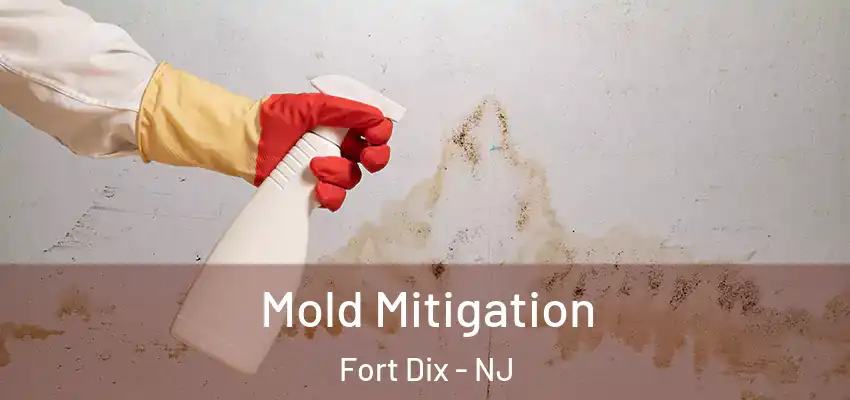  Mold Mitigation Fort Dix - NJ