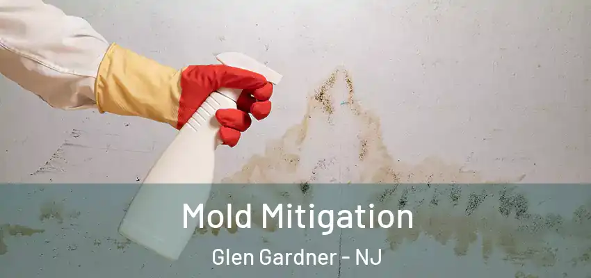  Mold Mitigation Glen Gardner - NJ