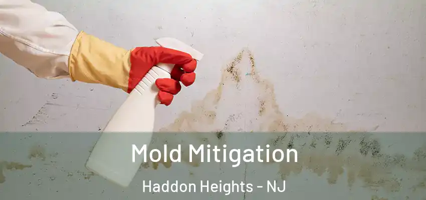 Mold Mitigation Haddon Heights - NJ