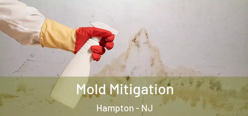 Mold Mitigation Hampton - NJ